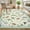 beige, variant on Bleum Cade 5'x7' Boho Area Rugs for Living Room, Machine Washable Foldable Indoor Rugs Carpet, Soft Lightweight Non Slip Large Rug for Bedroom Dining Room,Green
