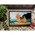 thumbnail image 3 of Carolines Treasures 7519MAT Tapis Intérieur Extérieur 18 x 27 Po. Norwich Terrier, 3 of 4