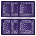 thumbnail image 1 of Paquete de 6 pañuelos de poliéster con diseño de arcoíris para hombre y mujer, pañuelos de vaquero con estampado de cachemira para el cabello, 54 x 54 cm, 1 of 6