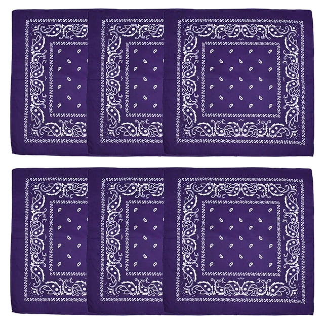 Paquete de 6 pañuelos de poliéster con diseño de arcoíris para hombre y mujer, pañuelos de vaquero con estampado de cachemira para el cabello, 54 x 54 cm