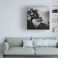 thumbnail image 2 of Canvas Wall Art - Tsuneya Fujii 'Pine' Wall Art for Living Room, Bedroom, or Office D?cor by Trademark Fine Art - 18 x 18 Inches, 2 of 4