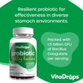 Probiotic Jelly Beans, Supports Digestive Health & Gut Health
