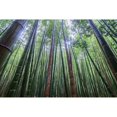 thumbnail image 3 of Wrobel, Karsten 14x11 Black Modern Framed Museum Art Print Titled - Tall, 3 of 5