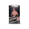 thumbnail image 2 of AEW Unmatched Luminaries CM Punk - Figurine de 6 Pouces avec Veste d'Entrée, Microphone ROH et Mains Tenaces, 2 of 8