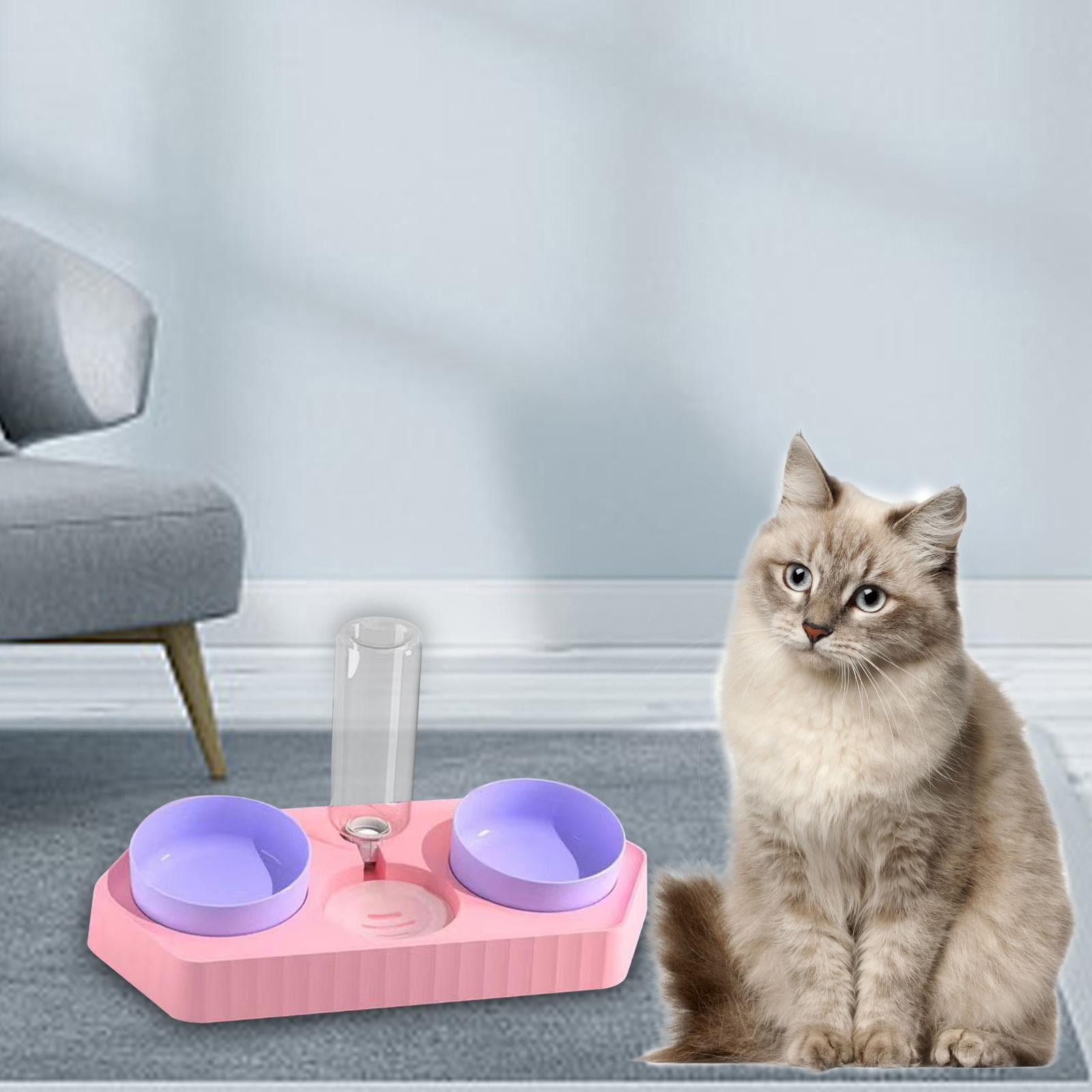 Bvdfgk Dot Bowls Drink Fountain Cat Food Dishes Pet Feeding Station Detachable Non Slip three pink