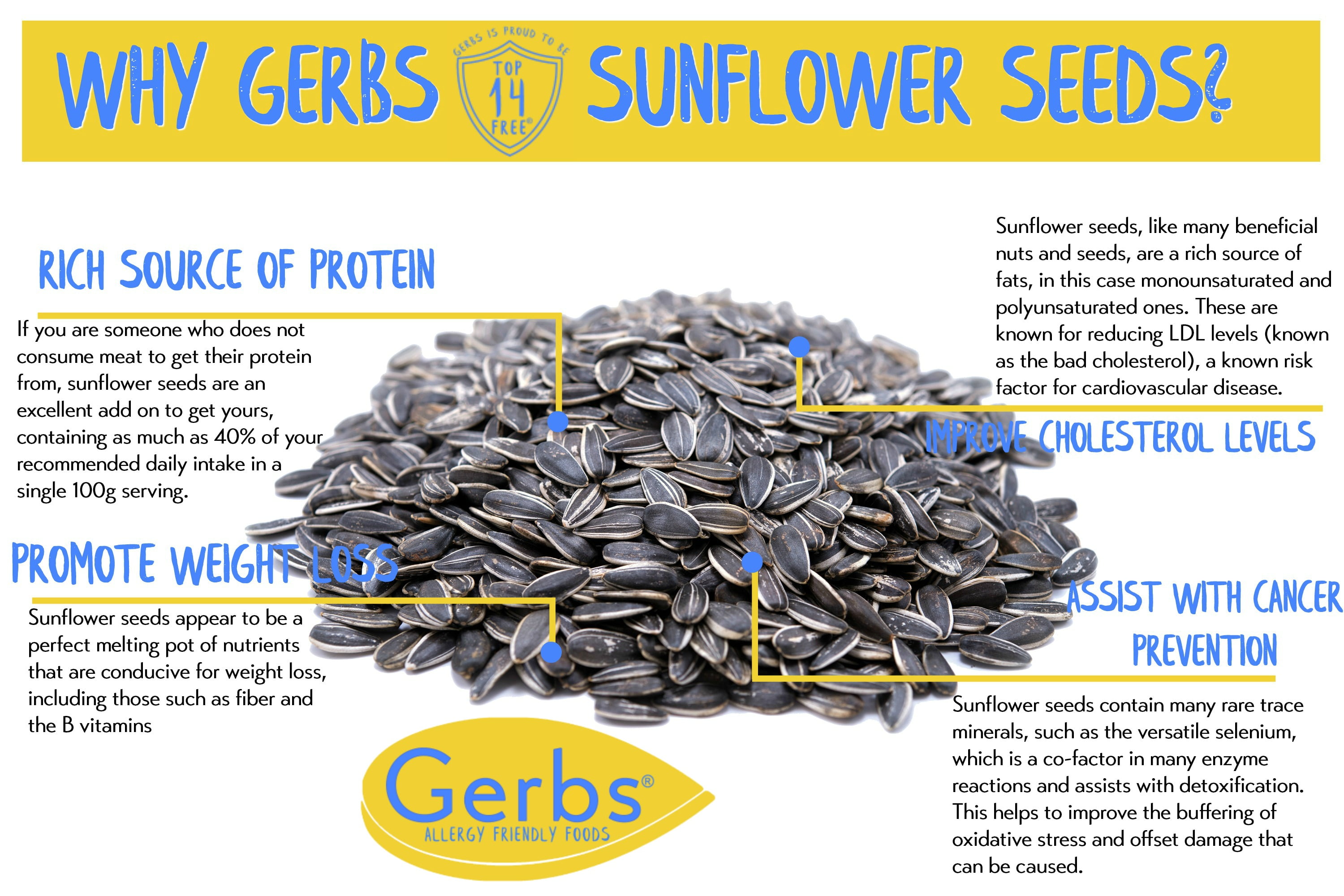 Lightly Sea Salted Sunflower Seed In Shell by Gerbs - 2 LBS - Top 14 Food Allergen Free & Non GMO - Dry Roasted
