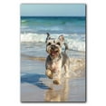 thumbnail image 3 of Funny Dog on Beach Canvas Wall Art, Miniature Schnauzer Dog Picture Ocean Artwork for Bathroom Bedroom Living Room, Art Decor 8x12 Inches, 3 of 6