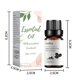 thumbnail image 3 of Aceite de aromaterapia para aliviar la fatiga y mejorar la respiración (10 ml), 3 of 4