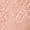 SHEER PALE PINK/WHITE, variant on Women's Lace Desire Natural Lift Bra, Style D653
