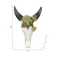 thumbnail image 4 of Bull Skull with Succulents for Home and Room Decor - Wall Display for Bedroom, Living Room, Office, Entryway or Hallway - Hanging Wall Art Decor Accent for Interior Display - 18", Ivory & Brown, 4 of 10