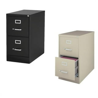 Wrought Studio Worton 2-Drawer Vertical Filing Cabinet, Black