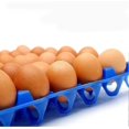 thumbnail image 3 of 10 Pcs Plastic Egg Trays For 30 Egg Holders, Egg Storage Containers Random Color, 3 of 4