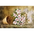 thumbnail image 2 of Bolokofsky, Ronald 32x23 Gold Ornate Wood Framed with Double Matting Museum Art Print Titled - Potted Flowers I, 2 of 4