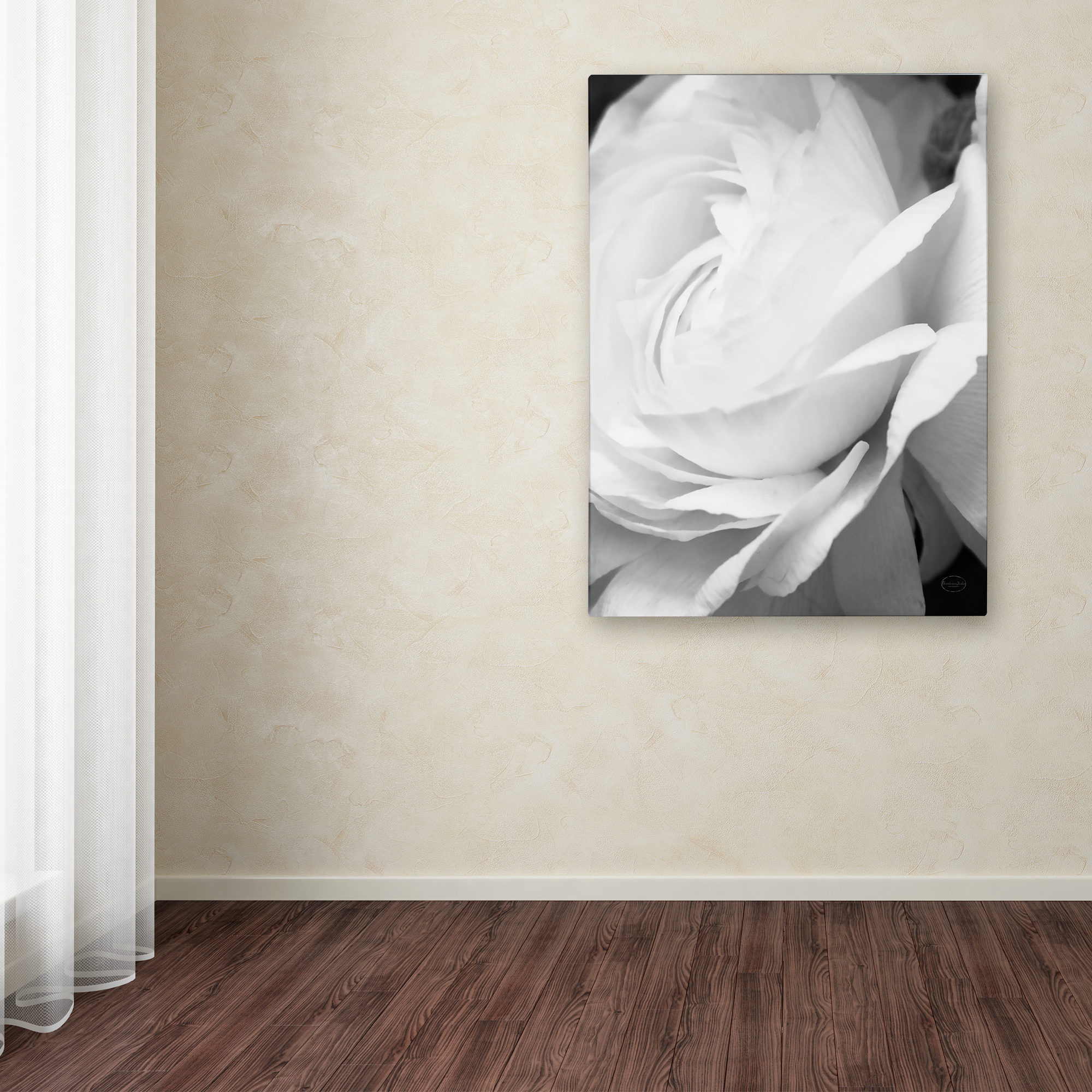 Trademark Fine Art 'Black and White Petals II' Canvas Art by Brookview Studio