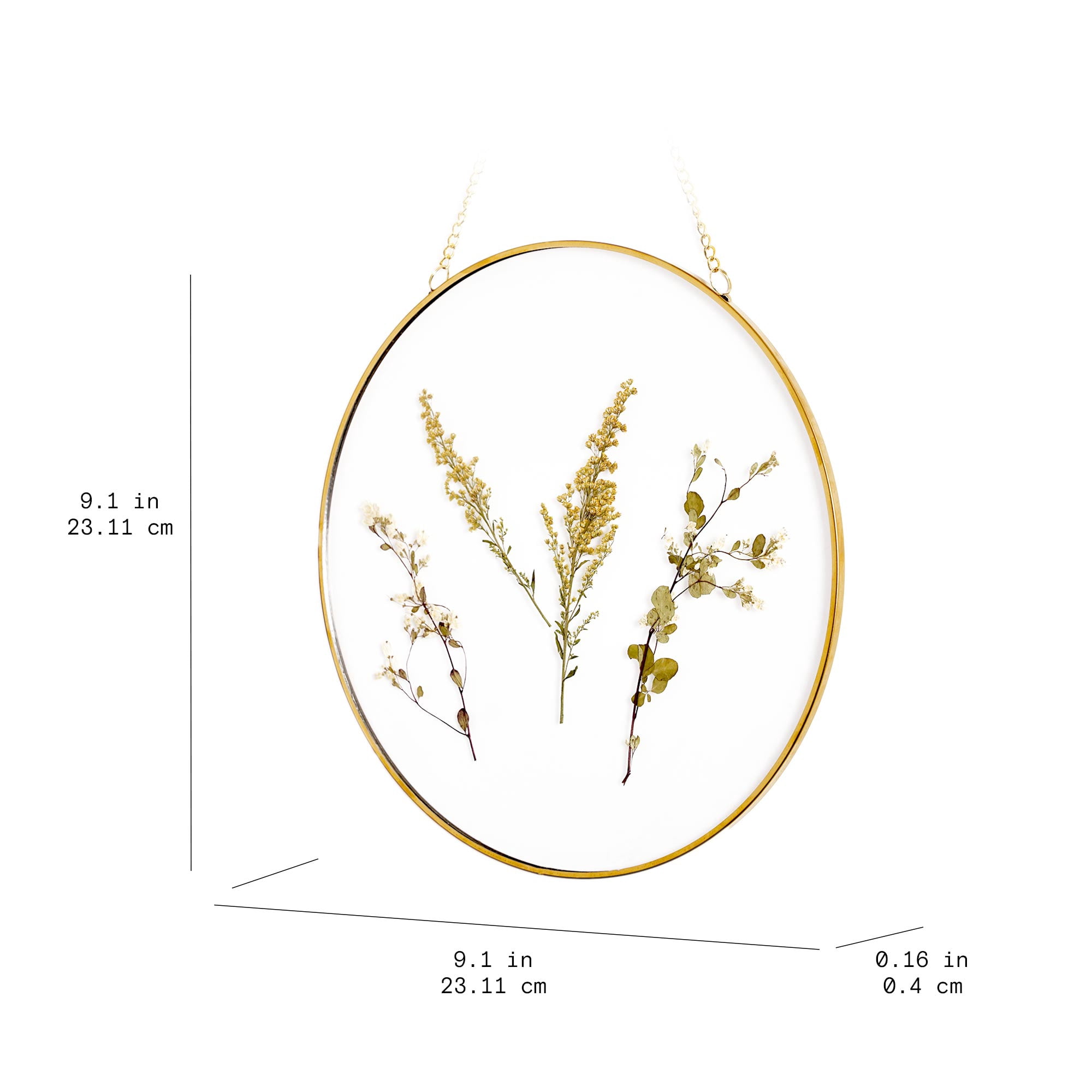 (3 pack) Mainstays Hanging Gold Circular Framed Glass Dried Pressed Floral Wall Decor, 9x9