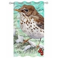 thumbnail image 2 of nqOlkjepod Outdoor Curtains for Patio Waterproof, Brown Bird Outdoor Privacy Panels Grommet, Music Farmhouse Animals Country Teal Blackout Outside Curtains for Porch/Cabana/Pergola 54"x108", 1 Panel, 2 of 8