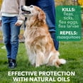thumbnail image 3 of Hartz Nature's Shield Natural Flea & Tick Dog Shampoo, 14-oz Bottle, 3 of 7
