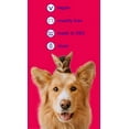 thumbnail image 5 of Petsmile Pet VOHC Accepted Toothpaste & Brush Kit Plaque & Tartar Control, Rotisserie Chicken 2.5 oz, 5 of 6