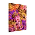 thumbnail image 2 of Trademark Fine Art 'Warm Abstract Floral I' Canvas Art by Karen Fields, 2 of 4