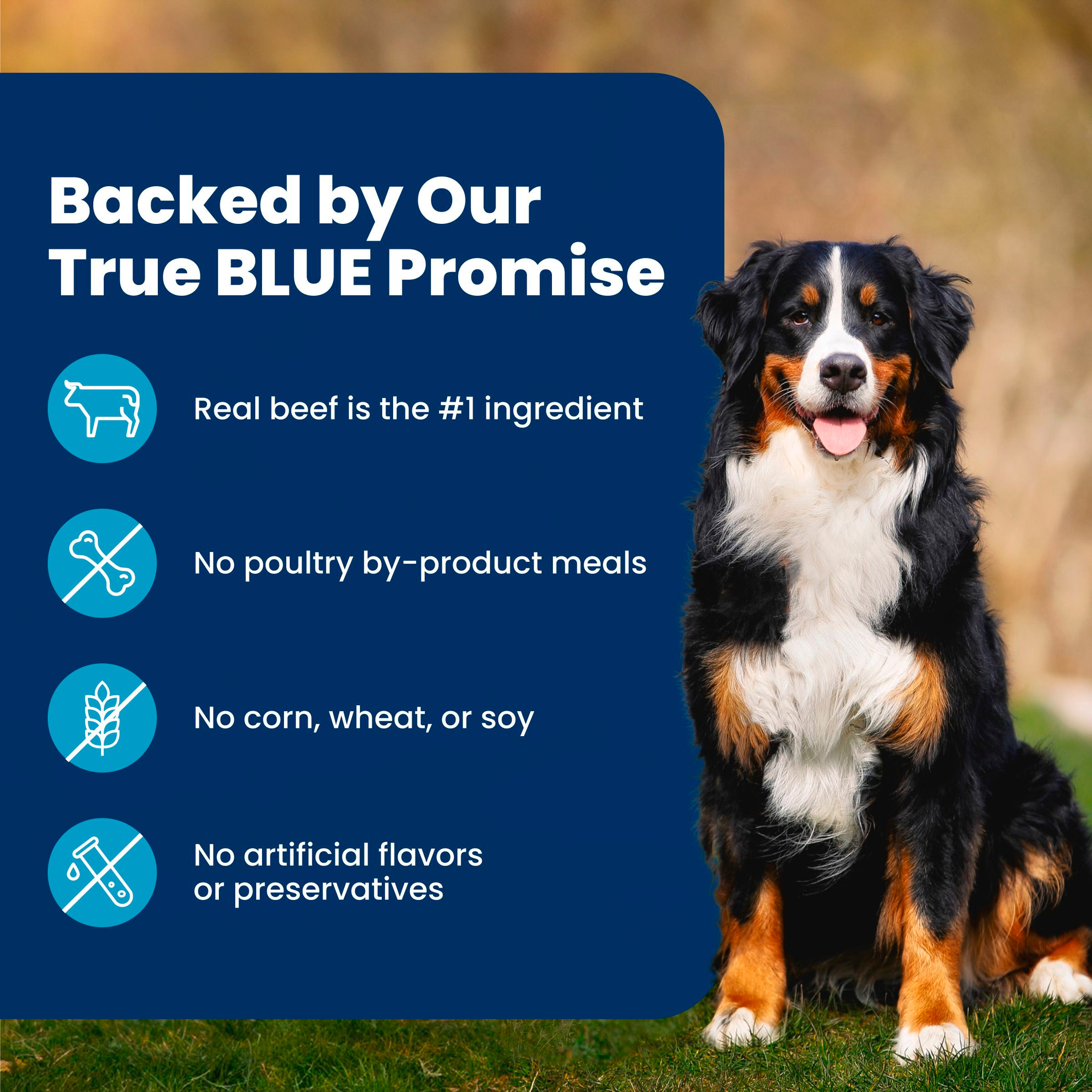 Blue Buffalo Life Protection Formula Adult Beef & Brown Rice Dog Food photo 8