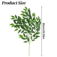 thumbnail image 2 of 1 Pcs Artificial Italian Ruscus Greenery Stem, Faux Green Leaf Garland Branches Hanging Greenery Spray for Wedding Bouquet, Arch, Table Centerpieces and Home Decor 26", 2 of 9