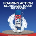 thumbnail image 2 of Resolve Pet Expert Heavy Traffic Carpet Stain Cleaner Solution and Odor Remover Foam, Fresh, 22 oz, 2 Pack, 2 of 6