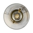 thumbnail image 7 of Trans Globe Lighting Pnd-2174 Curry 6" Wide Mini Pendant - Black, 7 of 7