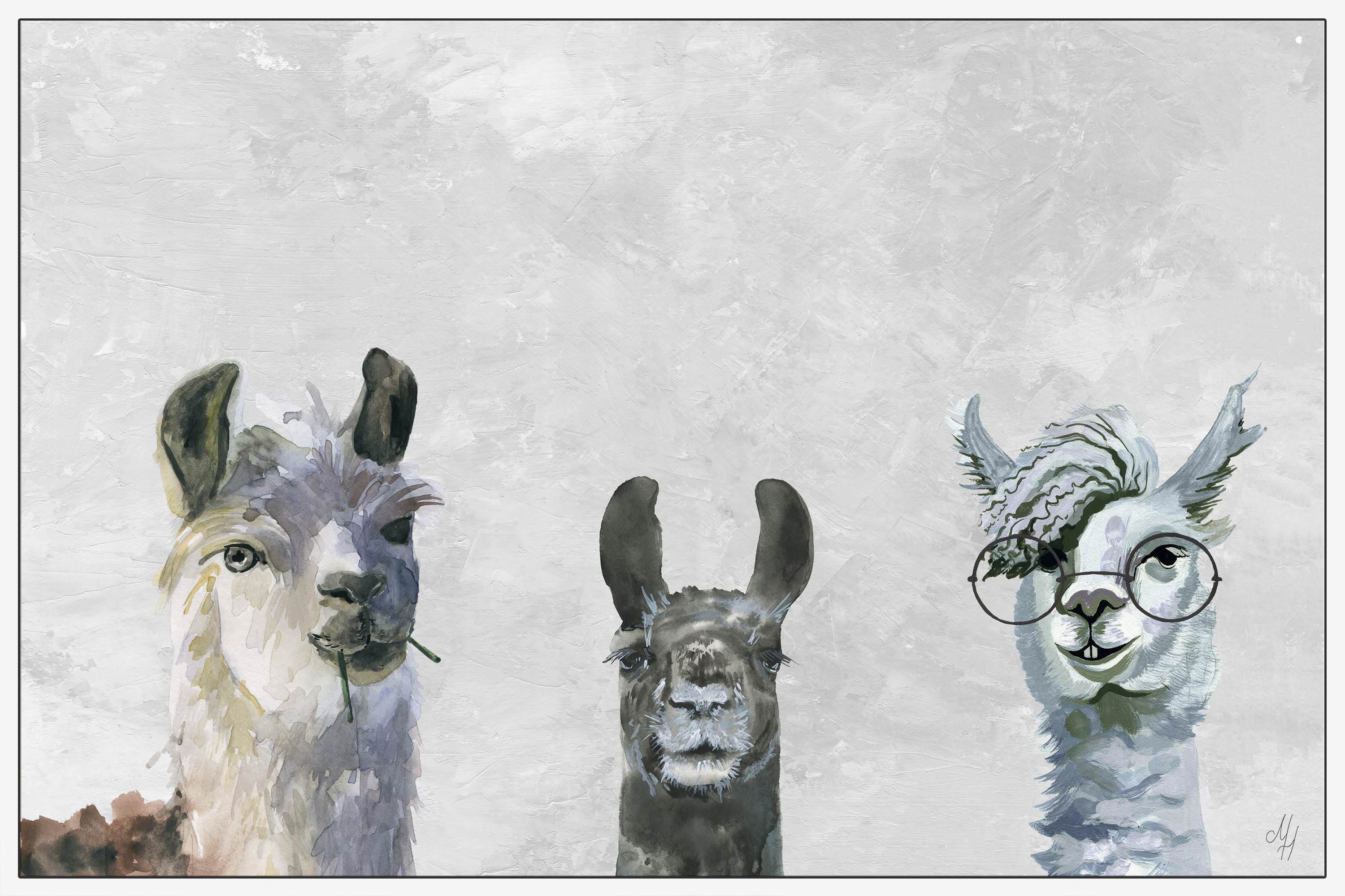 Llama Squad II Floater Framed Painting Print on Canvas