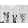 thumbnail image 2 of Llama Squad II Floater Framed Painting Print on Canvas, 2 of 6