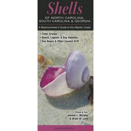 Shells of North Carolina, South Carolina & Georgia : A Beachcomber's Guide to the Atlantic (Best Places To Visit North Carolina Coast)