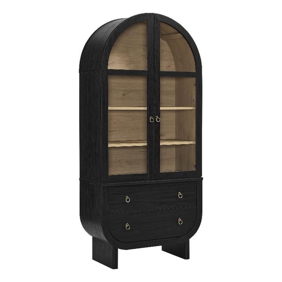 Pemberly Row Contemporary Display Cabinet with Tempered Glass Doors in Black