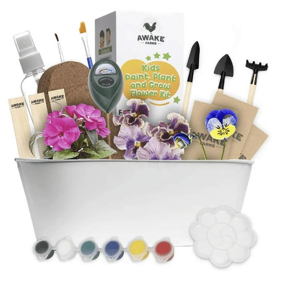 Kids Paint Plant Grow Flower Kit 19 Piece