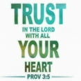thumbnail image 2 of Greene, Taylor 15x15 White Modern Wood Framed Museum Art Print Titled - Trust In The Lord, 2 of 4