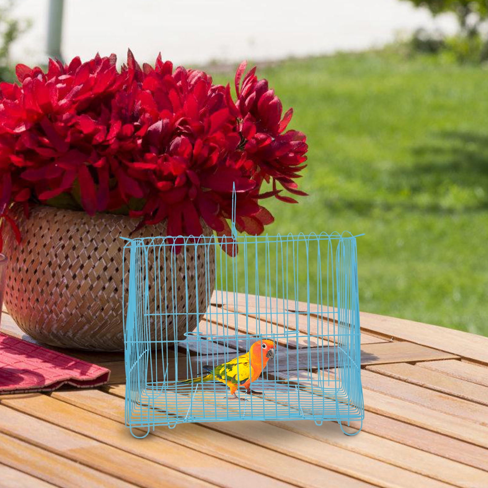 GETAJGHSD Wire Bird Cage Sky Blue with Spacious Interior and Travel-Friendly Design