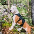 thumbnail image 5 of Topcobe Professional Dog Harness Adjustable Pet Body Harness Vest, Visible at Night Outdoor Training Harnesses Chest Straps No-Pull Effect, 5 of 6