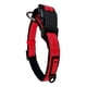 thumbnail image 5 of Collar de nailon Kong para perro, mediano y mediano, reflectante, color rojo, talla M, 5 of 6