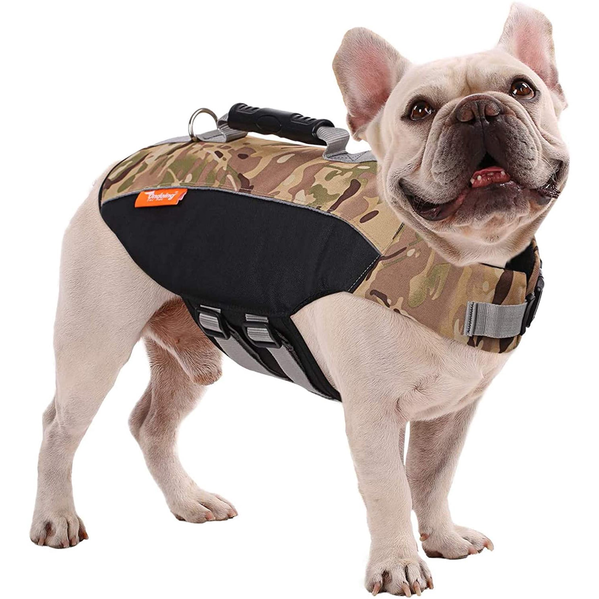 Can A Dog Wear A Human Life Vest