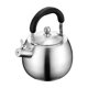 thumbnail image 1 of Hervidor con silbido para estufa, tetera superior, tetera ligera portátil de acero inoxidable para café y té caseros 4L, 1 of 9