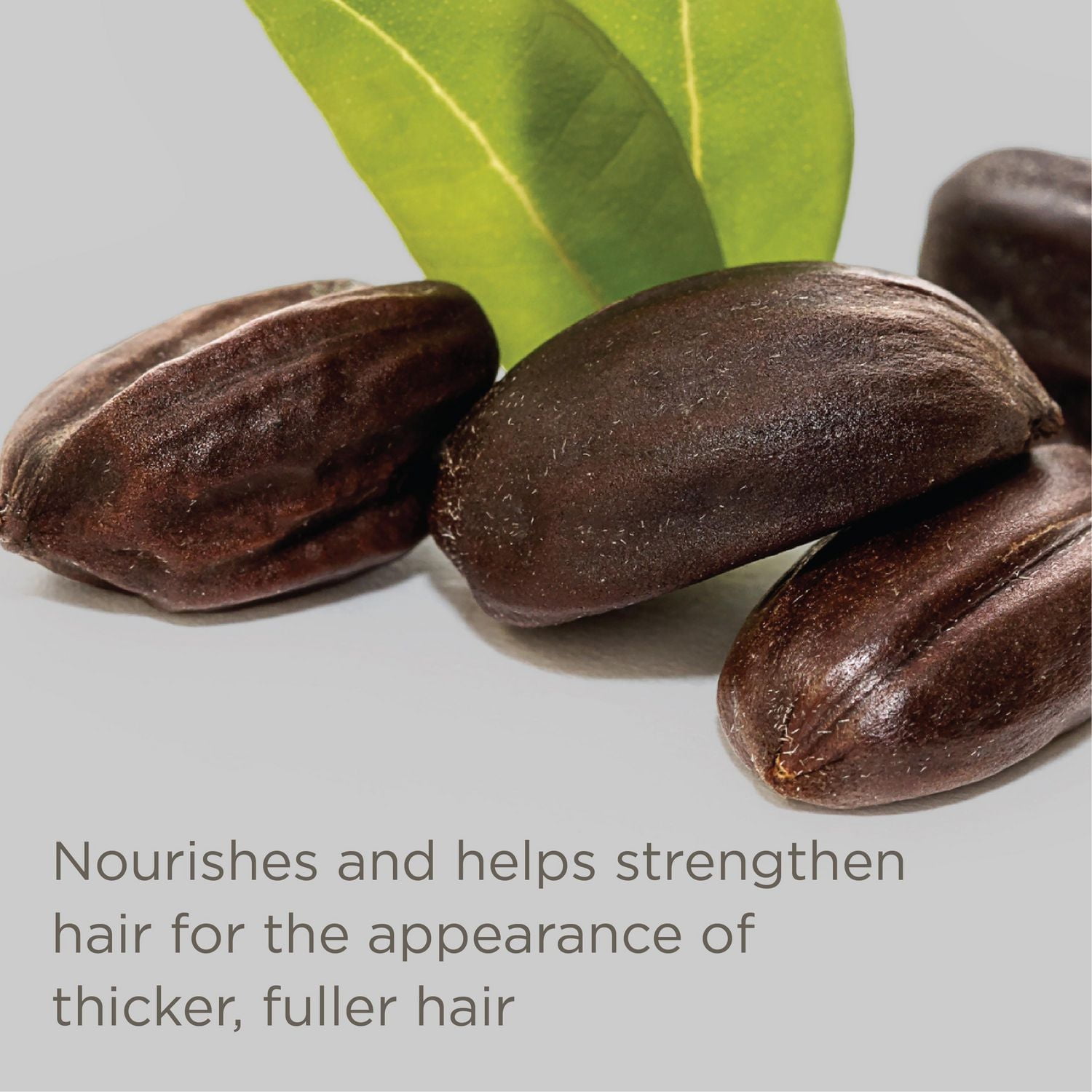 Pass On The Brass - Après-shampooing violet Conditionneur de couleur