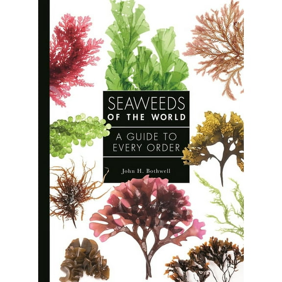 Guide to Every Family Seaweeds of the World: A Guide to Every Order, Book 4, (Hardcover)