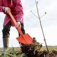 thumbnail image 4 of WEUVEB Outdoor Shovel Roja De Para Plantación Y Cuidado De En, 4 of 6