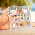 thumbnail image 4 of HOZVOMI Clear Acrylic Display Box with 18 Grids, Mini Trinket Shelf Organizer for Seashell, Rock, and Thimble Collection, Ideal for Collectors, 4 of 9