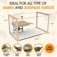 thumbnail image 5 of Turtle Aquarium Kit - New 2024 - Aquatic Turtle Tank with Filter and Light + Turtle Basking Platform, Small Turtle Tank for Baby & Juvenile Turtle, Perfect Turtle Starter Kit for Kids, 5 of 7