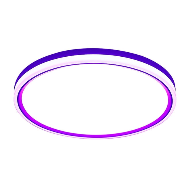 Control remoto WIFI luminoso con borde redondo para techo inteligente