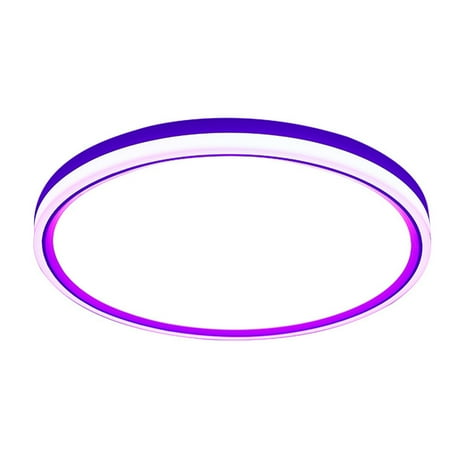 

Eccomum Intelligent Ceiling Lamp Round Rim Luminous WIFI BT Remote Control RGBCW Dimmable Voice Control Living Room Bedroom Lamp