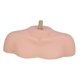 thumbnail image 5 of Modelo de hombro Mannequin Head Stable para cosmetología Pelado de pelucas de entrenamiento para peluquería Soporte de peluca para el hogar, 5 of 9