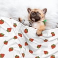 thumbnail image 3 of Naloa Hand Drawn Strawberry Dog Blanket, 3 Sizes Cat Blanket for Indoor Cats Large Medium Small Dog Gifts-Large, 3 of 8