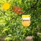 thumbnail image 5 of Precio sorpresa!Trampas para avispas, trampa para abejas con energía solar con luz LED UV, trampas para colgar al aire libre, trampa para avispones reutilizable para interiores, exteriores, patio, ja, 5 of 5