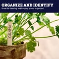 thumbnail image 6 of Harris Seeds Smooth Wooden Plant Labels 8 x 5/8 Inch, Untreated Garden Markers, 500 Count, 6 of 7