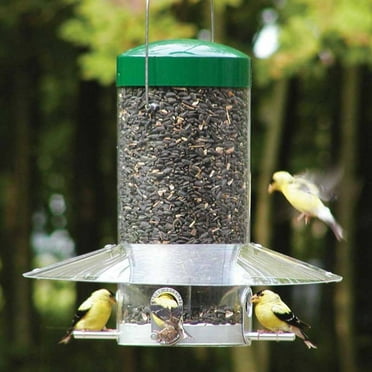 Birds Choice 12" Classic Hanging Bird Feeder with Baffle Weather Guard, Green